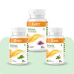 Befresh Energy Drink Mix Combo (Lemon + Tulsi + Kashmiri Kahwa)